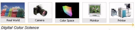 color000.jpg